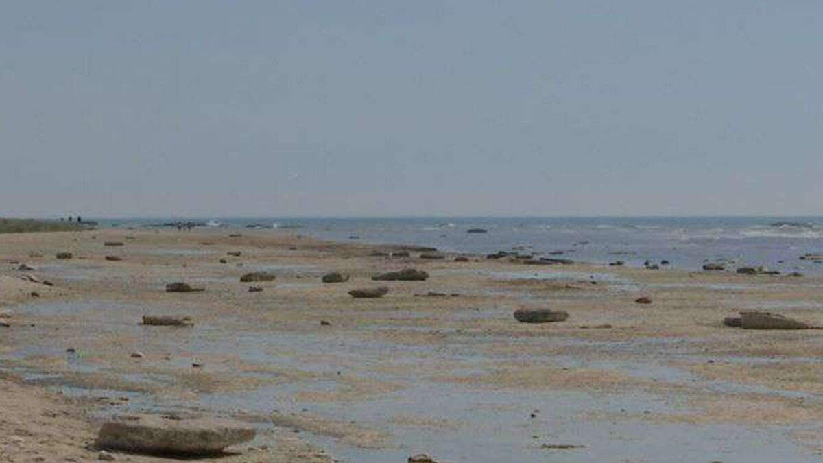 Alerte sur la Caspienne : la baisse drastique du niveau de la mer n&rsquo;est pas seulement un problème écologique, mais aussi économique et stratégique – ANALYSE