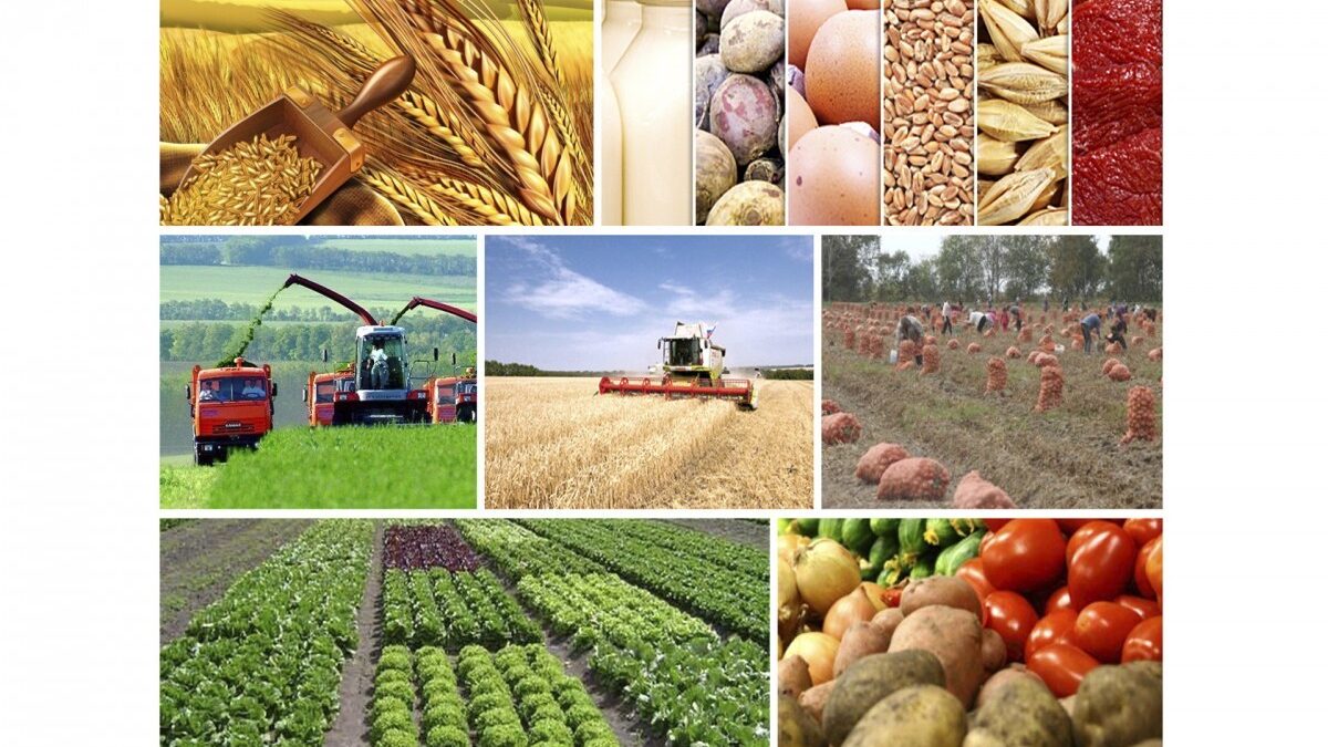 En 9 mois, 12 milliards d&rsquo;AZN de produits agricoles ont été produits en Azerbaïdjan