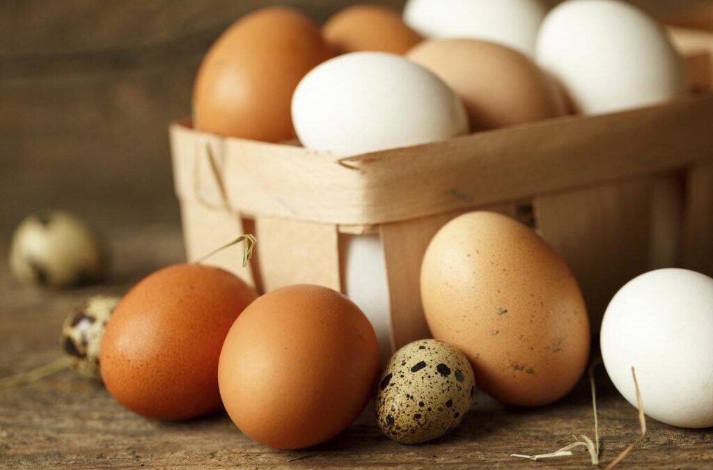 Mauvaise nouvelle pour ceux qui achètent des œufs de ferme