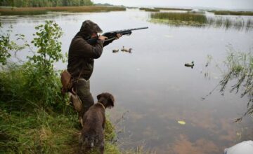 La saison de chasse commence en Azerbaïdjan à partir de cette semaine